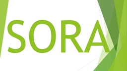 SORA: Unlocking the Byzantine Code