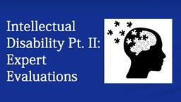 Intellectial Disability Part 2: Expert Evaluation