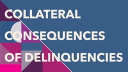 Collateral Consequences of Juvenile Delinquencies